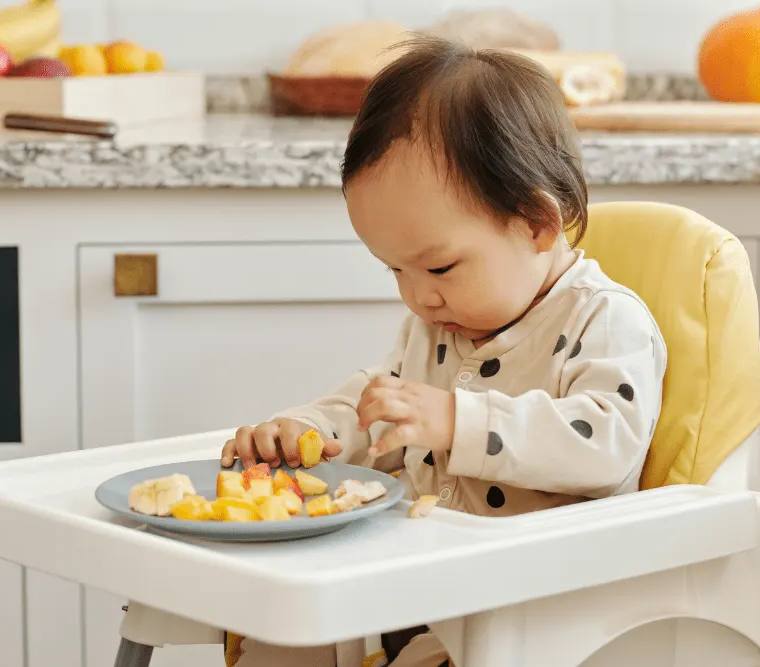Indemnité Repas de l’Assistant Maternel : Frais de repas, Repas fourni par les parents, comment Déclarer vos Repas ?