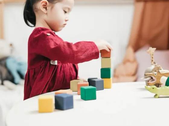 Accompagnement VAE Educateur de Jeune Enfant (EJE)